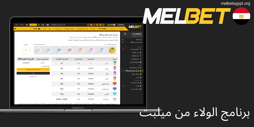 برنامج الولاء ومكافآت Melbet المميزة.